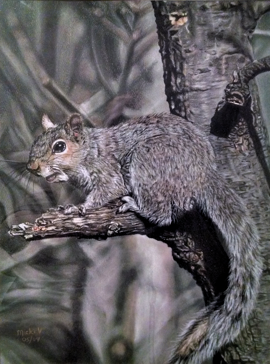 Pastel Squirrel by Micki Vroman